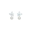 Boucles D’oreilles Percées Argentées Végétal