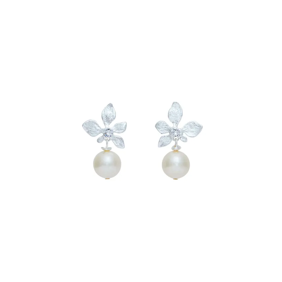 Boucles D’oreilles Percées Argentées Végétal