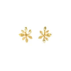 Boucles D'Oreilles Percées Doré Végétal